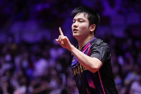 关于英格兰队逆转奥地利队，樊振东高光表现的信息